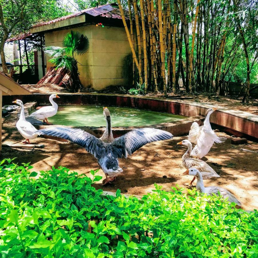 Hotel Dew Drops Boutique Retreat Igatpuri Exterior foto